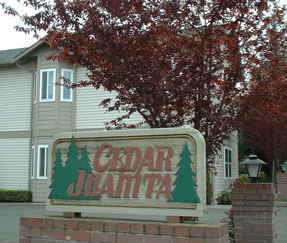 Cedar Juanita