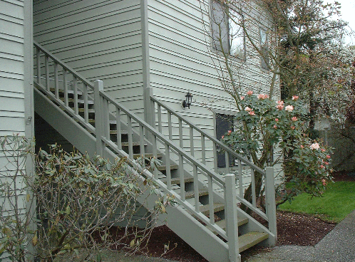 Cedar Juanita South Photo