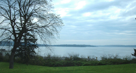 Kirkland Lakeview Photo